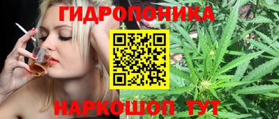 стаф Малоярославец
