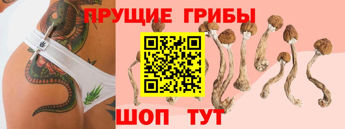 Псилоцибиновые грибы прущие грибы  Вход с VPN  Усть-Илимск 
