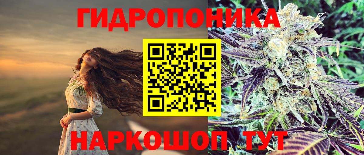 Бошки марихуана семена  Бошки марихуана Bruce Banner  МАРИХУАНА сатива  Усть-Илимск  Вход с VPN 